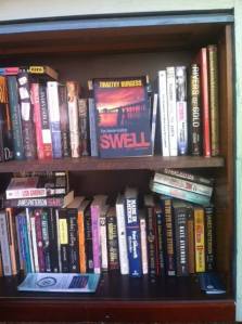 Thanks to Barbara Montes Olsen for this!  My book at a Little Free Library in Capitola, CA.